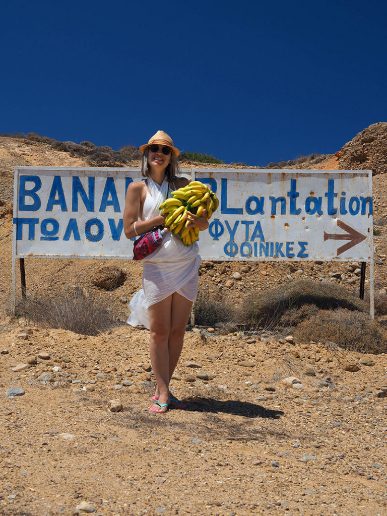 Creta del Nord Est: Le piantagioni di banane