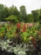 Fiori di tutti i colori nel giardino all'inglese a Dunvegan